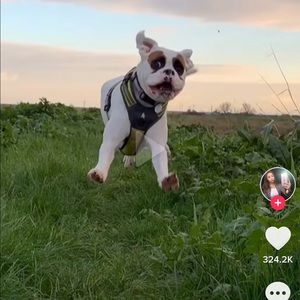 Meet your Posher, Jas